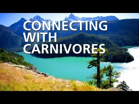 肉食動物とのつながり (Connecting With Carnivores)