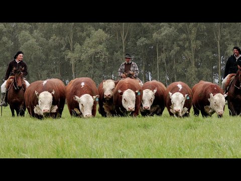 Propaganda Estância Tamanca
