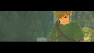 Legend Of Zelda - Link's O̶n̶l̶y̶ ̶H̶u̶m̶a̶n̶ ̶