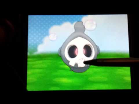 Duskull Pokemon XY Amie