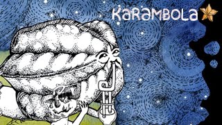 ЧТО ЭТО БЫЛО ► Karambola