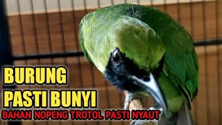 Download lagu pancingan CUCAK IJO ombyokan, terbukti ijo ombyokan bahan kuningan jadi ikut bunyi mp3 Download lagu pancingan CUCAK IJO ombyokan, terbukti ijo ombyokan bahan kuningan jadi ikut bunyi mp3