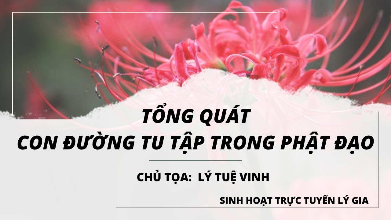 Buổi Thực Tập Thuyết Trình Của Lý Tuệ Vinh - Đề Tài Tu Để Làm Gì Và Tu Như Thế Nào