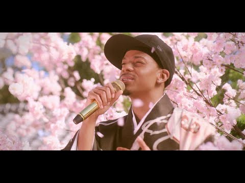 ジェロ ｢人生晴れるや～桜花乱舞｣