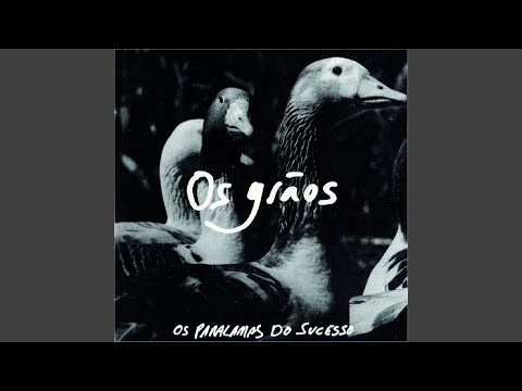 Ah, Maria - Os Paralamas do Sucesso