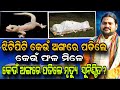 JHITI KEUN ANGARE PADILE KEUN FALA MILE BHABADIBAKAR