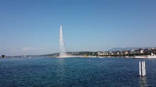 🇨🇭ワクチン接種が進むスイスの今をお見せします！ジュネーブ街歩き