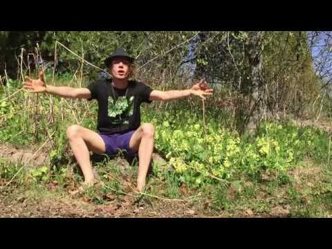 Toni Rissanen - Nokkoseloa