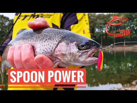 Spoonangeln am Forellensee: So funktioniert die Köderführung – Gregor trifft den Profi