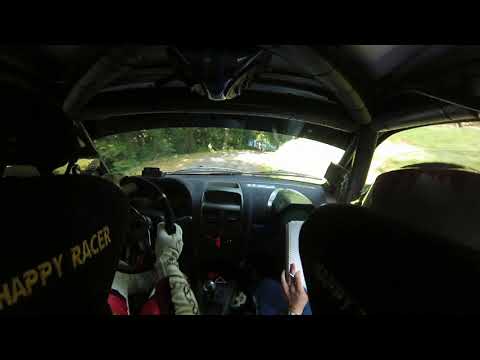 23° Rally Valli Cuneesi 2017  CITTADINO– SANTI su Renault Clio RS N3 By PFCar