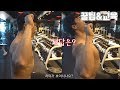 [요청]알면서도 실수하는 