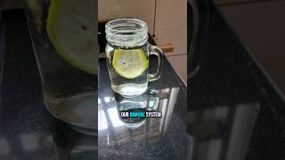 Download lagu What I eat after my workout for Flattummy. #whatieatinaday #lemonwater mp3 Download lagu What I eat after my workout for Flattummy. #whatieatinaday #lemonwater mp3
