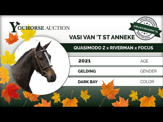 Vasi van 't St Anneke