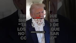 Download lagu Trump dice que Sheinbaum “tanto miedo que los cárteles que no puede pensar con claridad” mp3