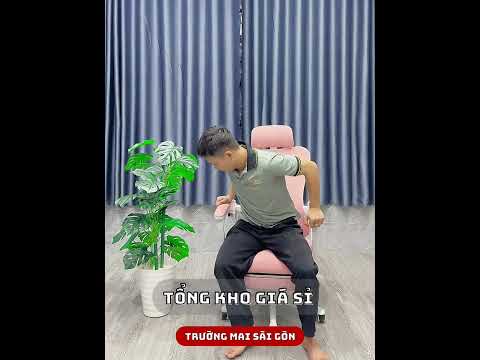 Ghế Công Thái Học Cánh Bướm - CTH19