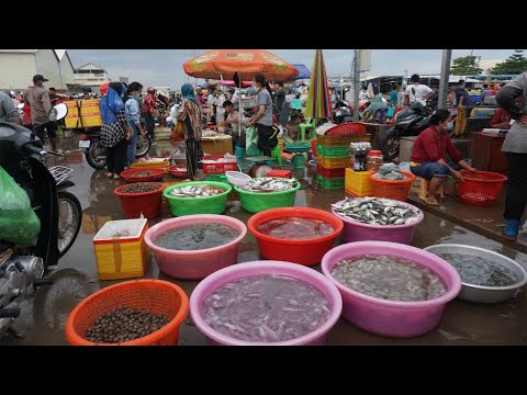 Morning Fish Market Scene @Prek Phnov Bridge - Morning Daily Life Style of Vendors Phsa Trey