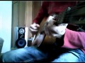 Bon Jovi - It's My Life, cover acoustic fingerstyle ...