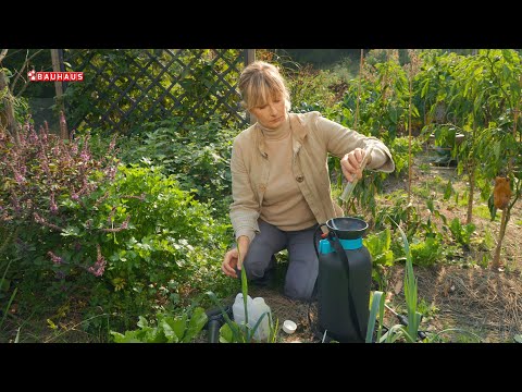 Škola vrtlarstva - kako protiv smrdljivog martina