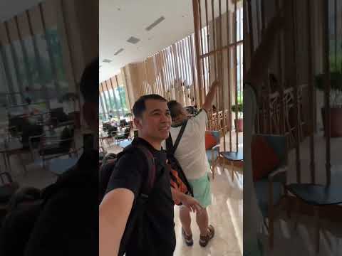 Trần gỗ công nghiệp tạo hình chiếc lá ở khách sạn SaLa Tuy Hoà Phú Yên