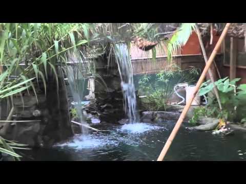 download lagu mp3 mp4 Seafood Restaurants Tybee Island Ga, download lagu Seafood Restaurants Tybee Island Ga gratis, unduh video klip Seafood Restaurants Tybee Island Ga