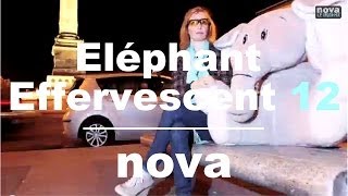L'Eléphant Effervescent - Episode 12 • Nova