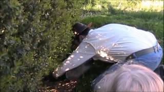 20 years ago I buried a time capsule in my parents back yard.