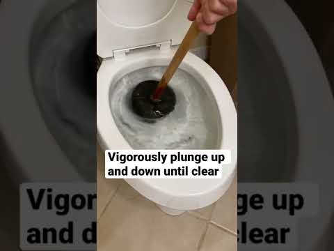 How to Unclog a Toilet | Basic Life Skills