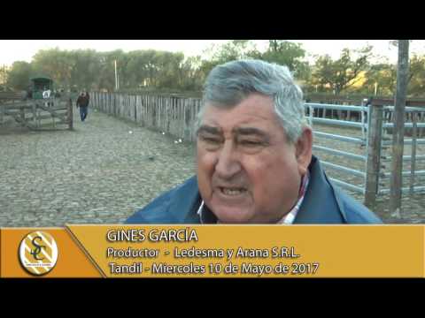 10-05-17 Nota Gines Garcia - Ledesma y Arana S.R.L. - Tandil