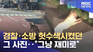 경찰·소방 헛수색시켰던 그 사진‥그냥 재미로(2026.04.25/뉴스25/MBC)