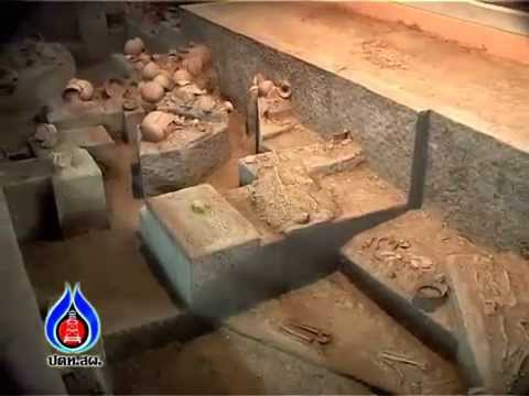 ภาพประกอบ วีดิทัศน์