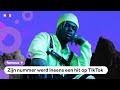 Afro-beats-muziek populair: CKay van 'love nwantiti' vertelt erover
