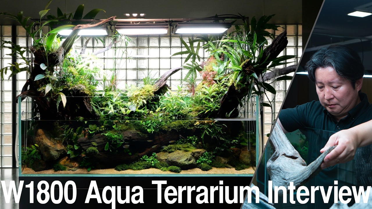 [ADAview] 支流をめざす - W1800mm Aqua Terraium Layout and Interview -【EN/JP Sub.】