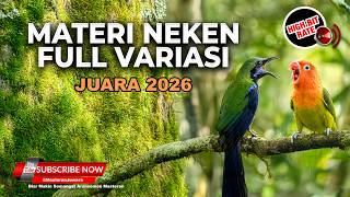 Download lagu 🔴 Live Cucak Cungkok Gacor Isian Jangkrik Kunti Siri Siri Mix Bajing Kekes vs Lovebird Cililin Greja mp3