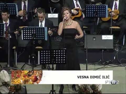 Vesna Dimic Ilic - VOJVODINO MILA MATI - Zlatna Tamburica 2014