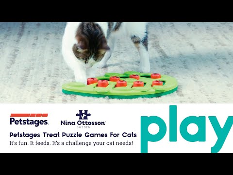 Melon Madness Puzzle & Play Cat Game_2