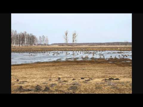 Biebrzańskie klimaty 2011r. Climates Biebrza 2011.