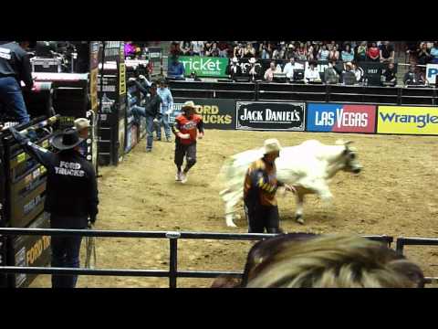 Kasey Hayes vs. Phe Phe's Secret