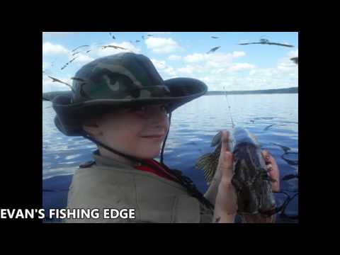 Fishing On Gourlay Lake