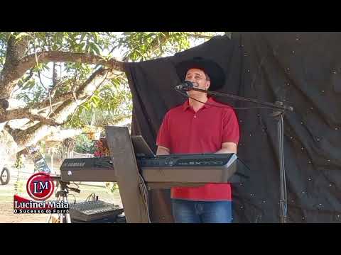 Fica amor 💃🕺 do Alemão do Forró 🪗 Lucinei Maia em Minas Gerais 🇧🇷