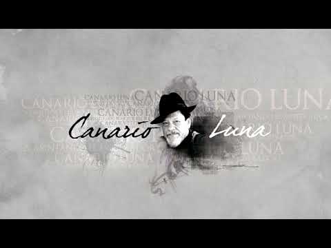 canario luna con ale balbis   barra bohemia