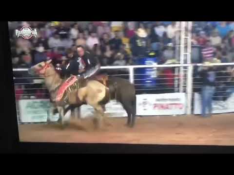 ARAGUAIA no PARANAPUÃ 2022