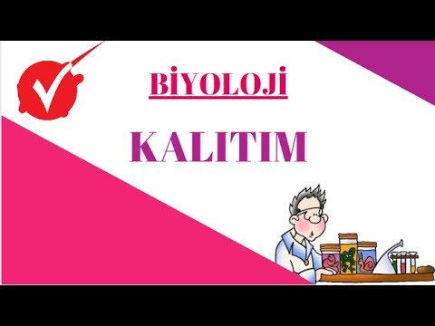 , title : 'BİYOLOJİ / KALITIM'