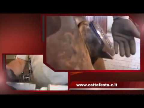 Protezione della Suola del Cavallo