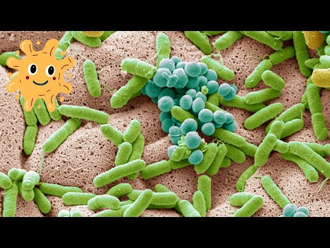 Soil Microorganisms: The Unseen Architects of Ecosystems | Golden Age