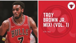 [外電] Troy Brown Jr加盟湖人