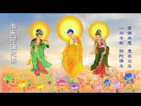 慧净法师 清念 引磬【 南无阿弥陀佛佛号 】 超清