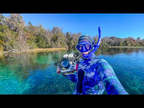 Snorkeling a Crystal Clear Florida River