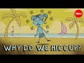 Why Do We Hiccup John Cameron