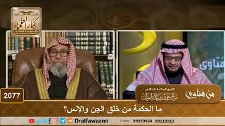 صورة 2077 - ما الحكمة من خلق الجن والإنس؟ - الشيخ صالح الفوزان
