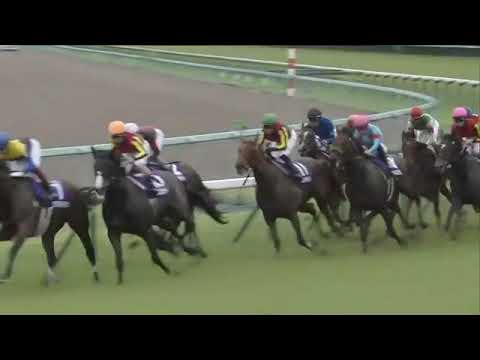 2020.06.28 Takarazuka Kinen (JPN) - Chrono Genesis